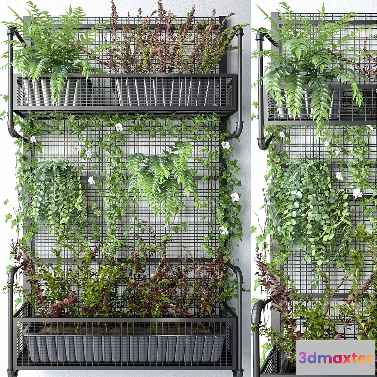 1451158 - JC Wall Grid Plant Pot 5 3D Max