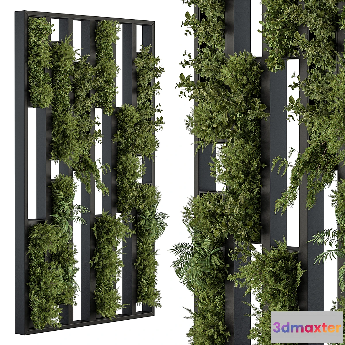 1454256 - Green Wall - Plants partition 04 3D Max