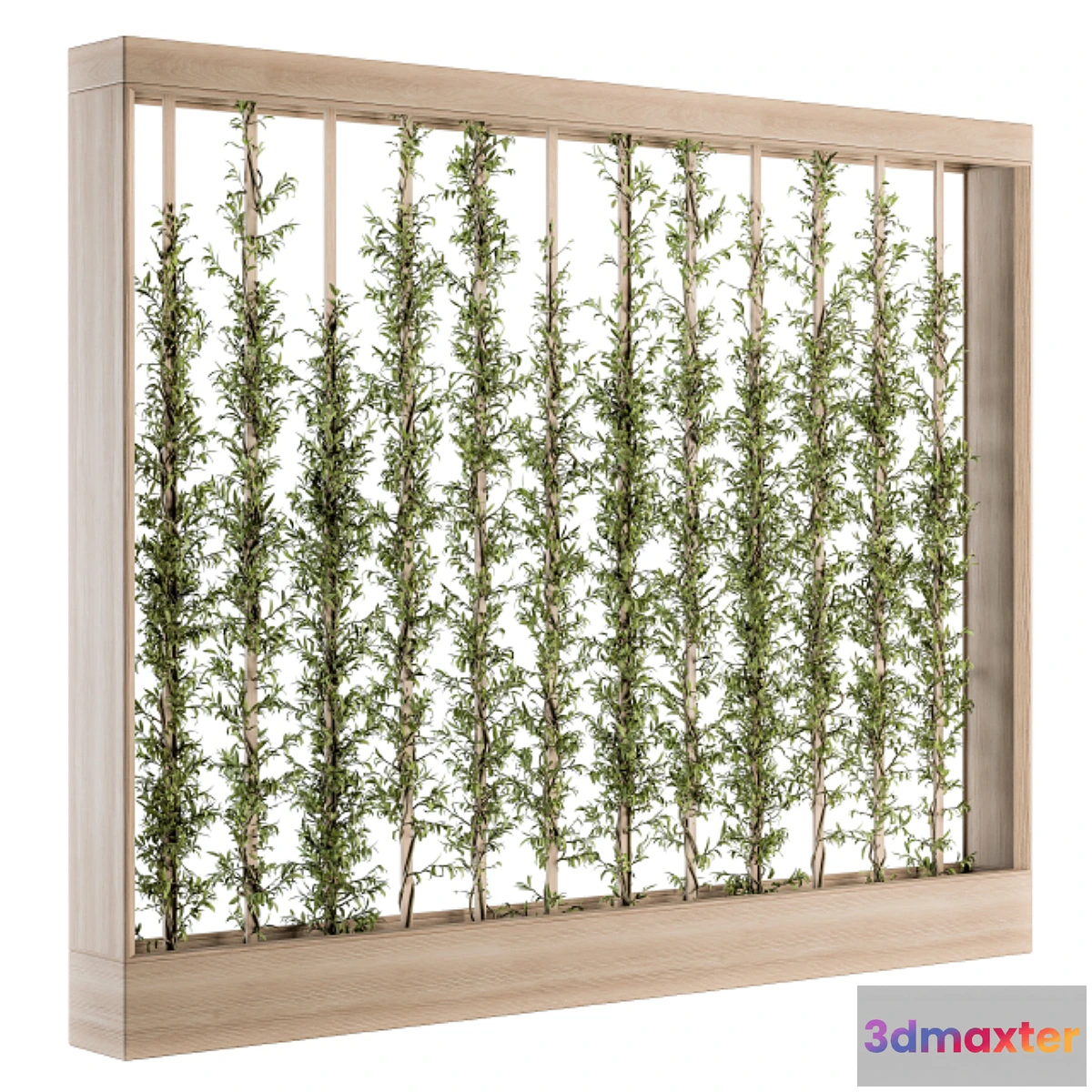 1456218 - Vertical Garden Wood Frame - Plants Partition 22 3D Max