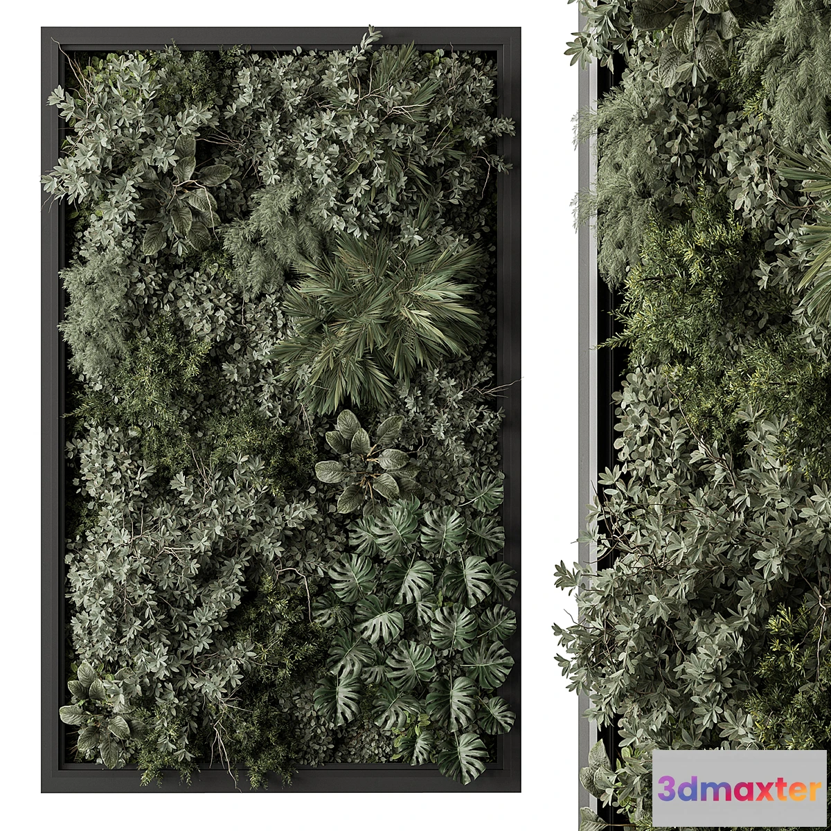 1468690 - Vertical Garden - Green Wall 95 3D Max