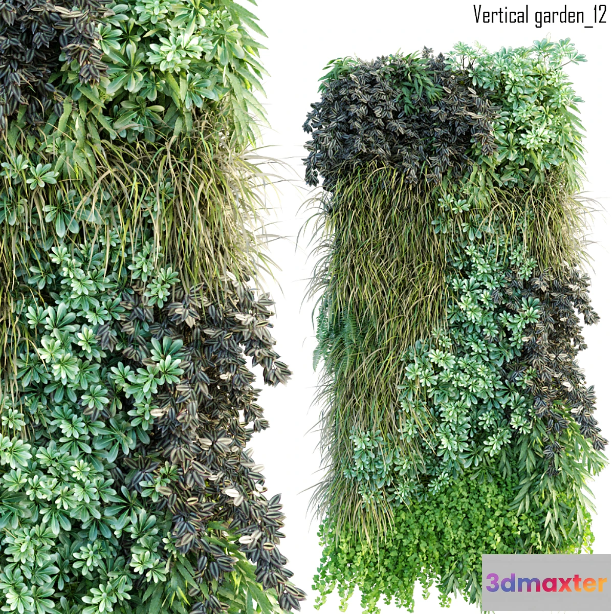 1476434 - Vertical garden 12 3D Max