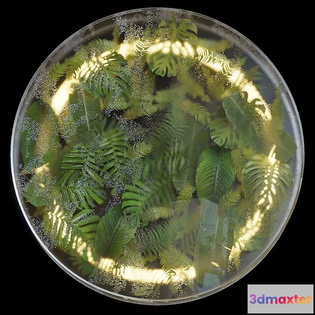 1542039 - Greenbox - wall-mounted phytomodule with lighting Vargov Design 3D Max