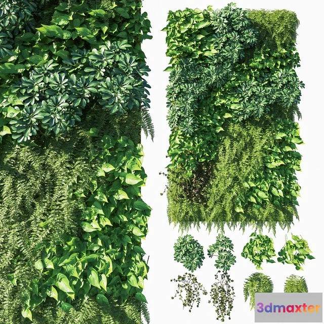 1543527 - Vertical garden_ Green wall 03 3D Max