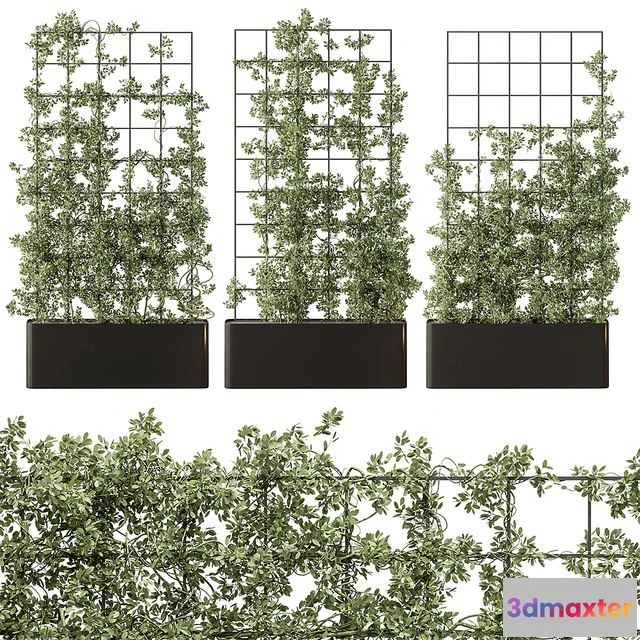 1549647 - Vertical Garden Partiton - Set 101 3D Max