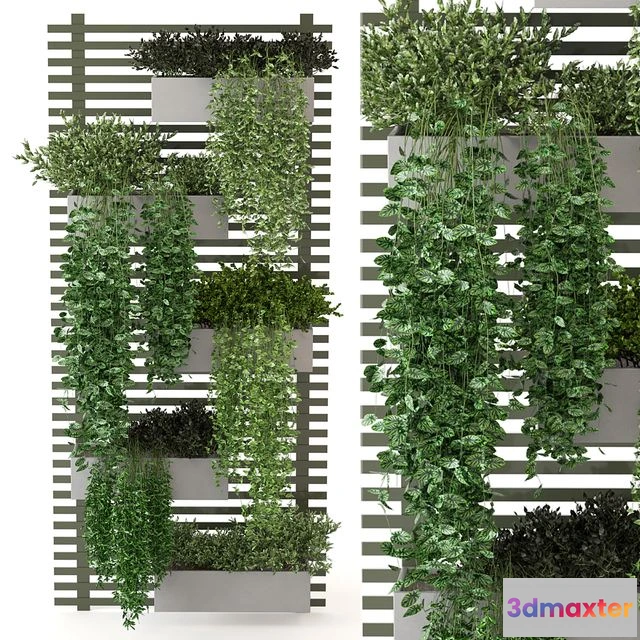 1551639 - Indoor Plants Collection - Set 393 3D Max