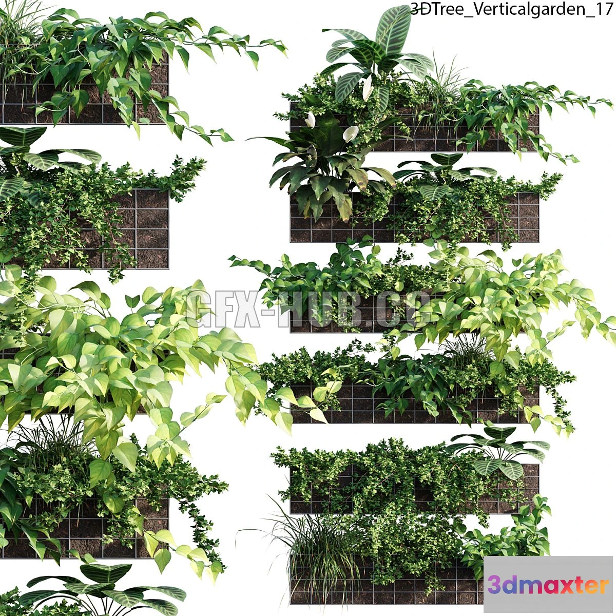 1556771 - Verticalgarden - Green wall 17 3D Max