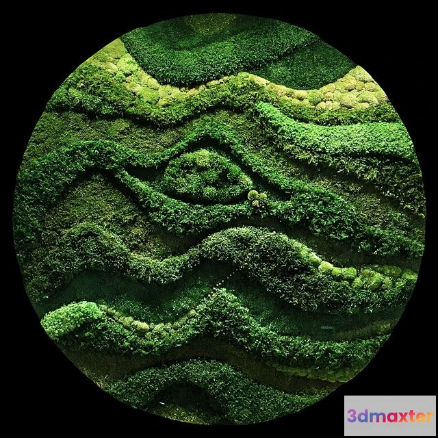 1559649 - Moss wall 3D Max