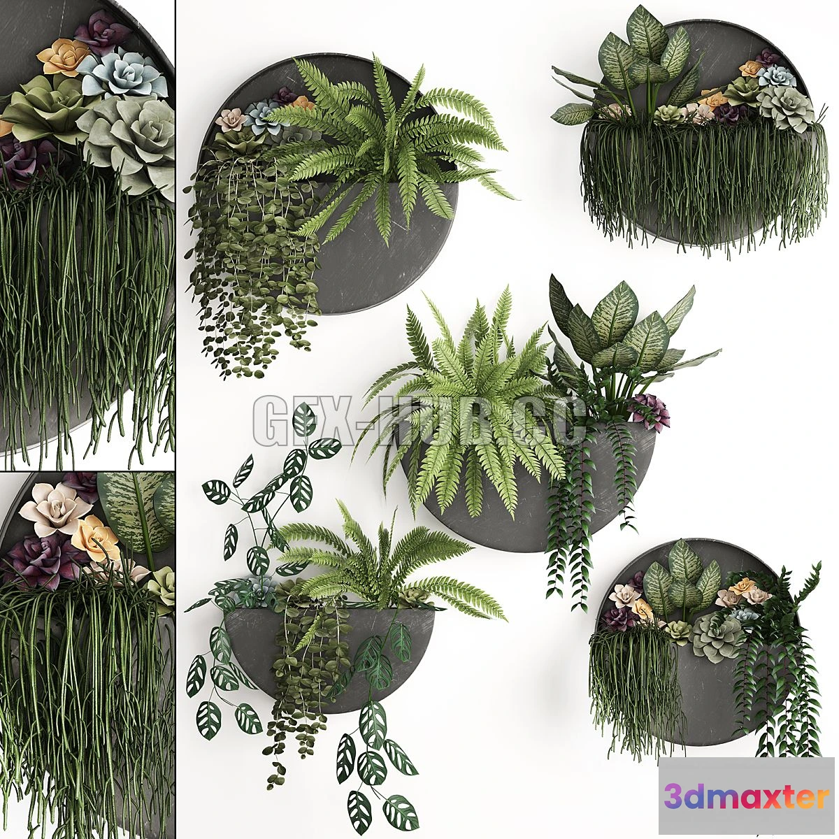 1561876 - Vertical gardening 56 3D Max