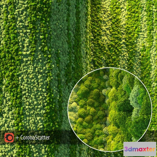 1566832 - Wall from moss 3D Max