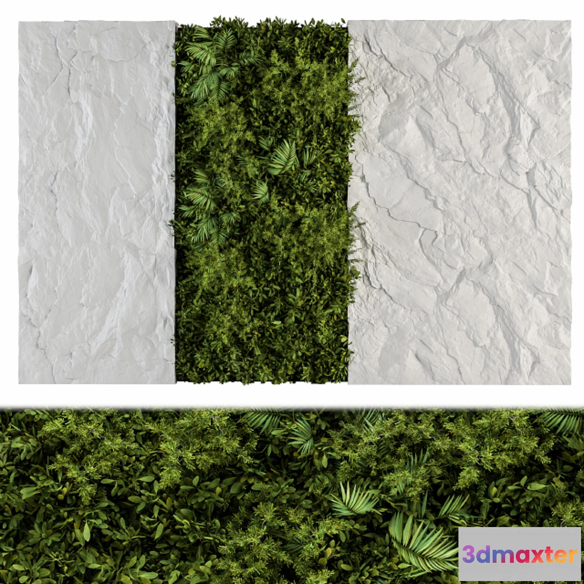 542843 - Vertical Garden Wood Frame - Wall Decor 25