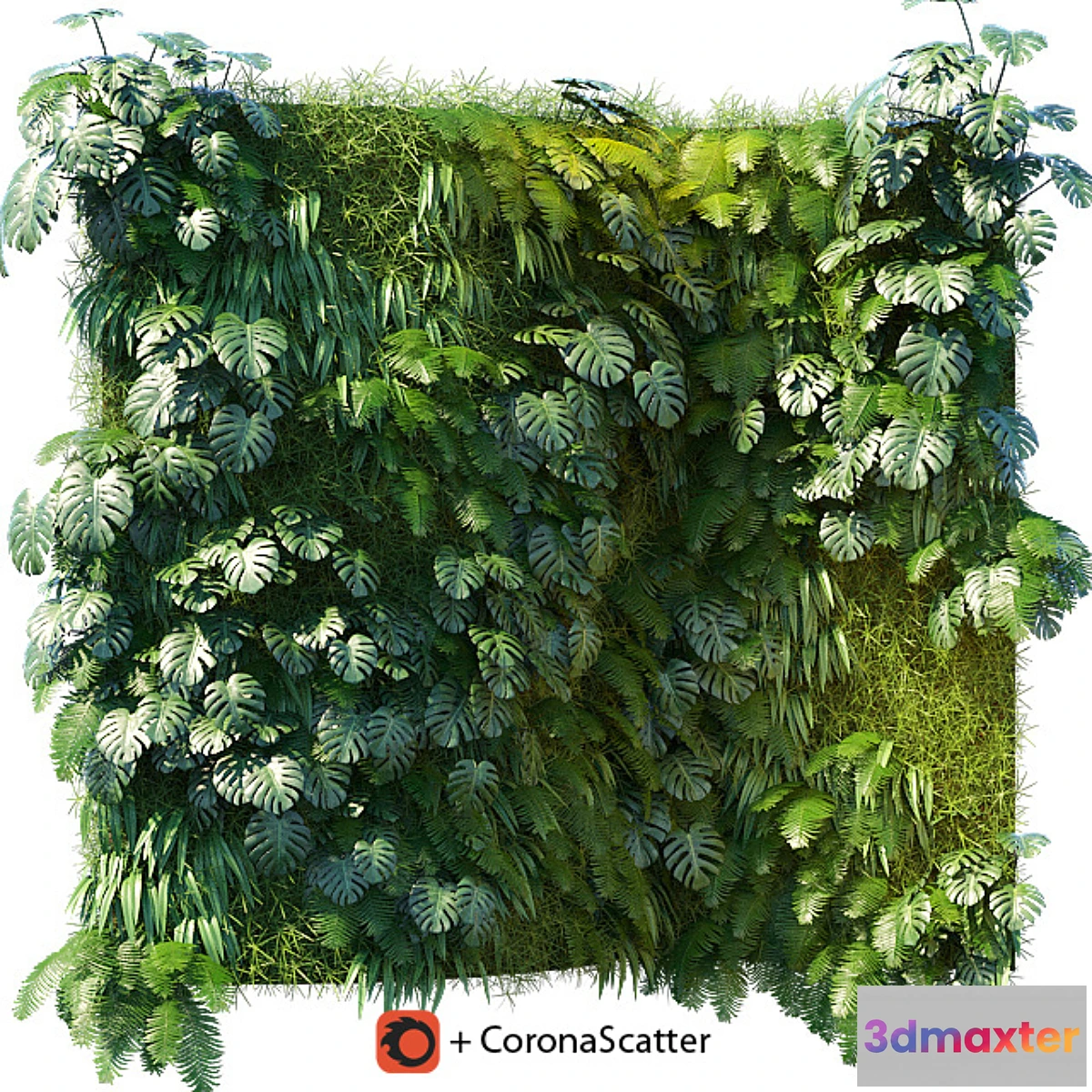 572252 - Phytowall 1