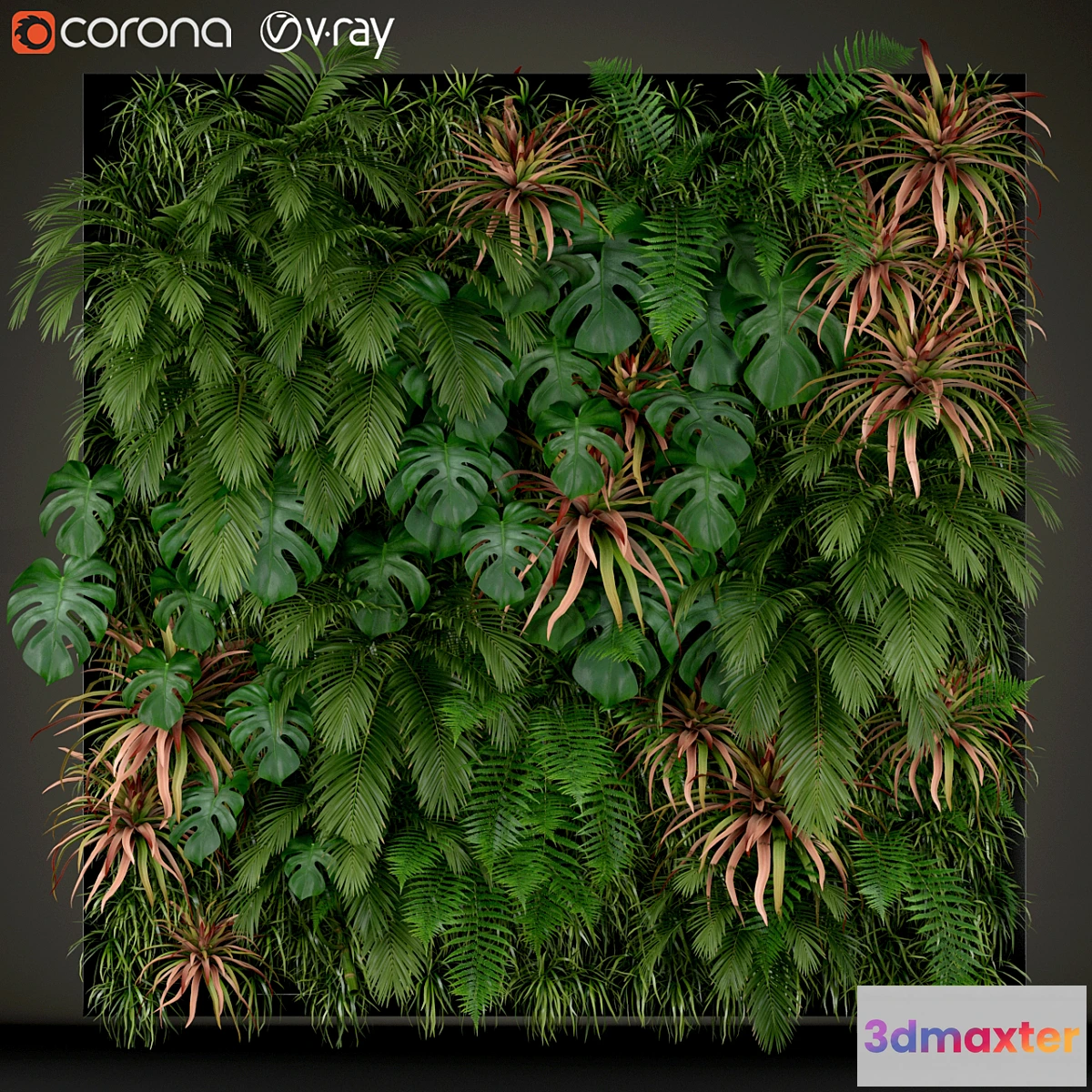 618659 - Plants collection 200