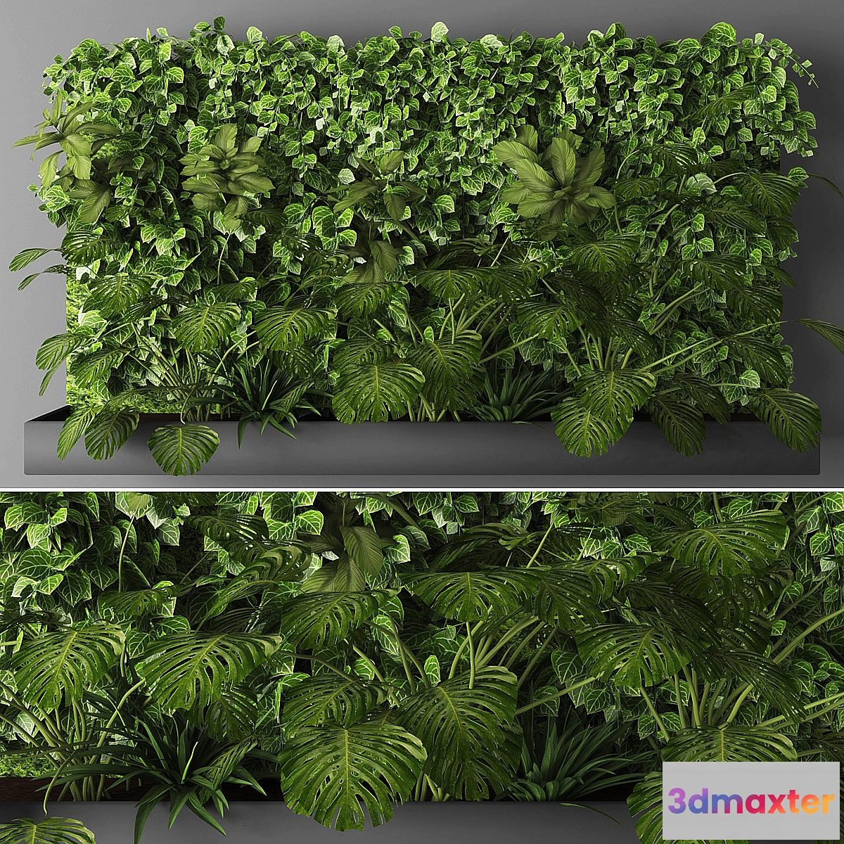 618673 - Vertical garden 011