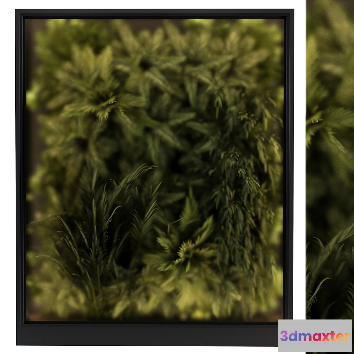 618717 - Vertical Garden Glass Frame - Wall Decor 58