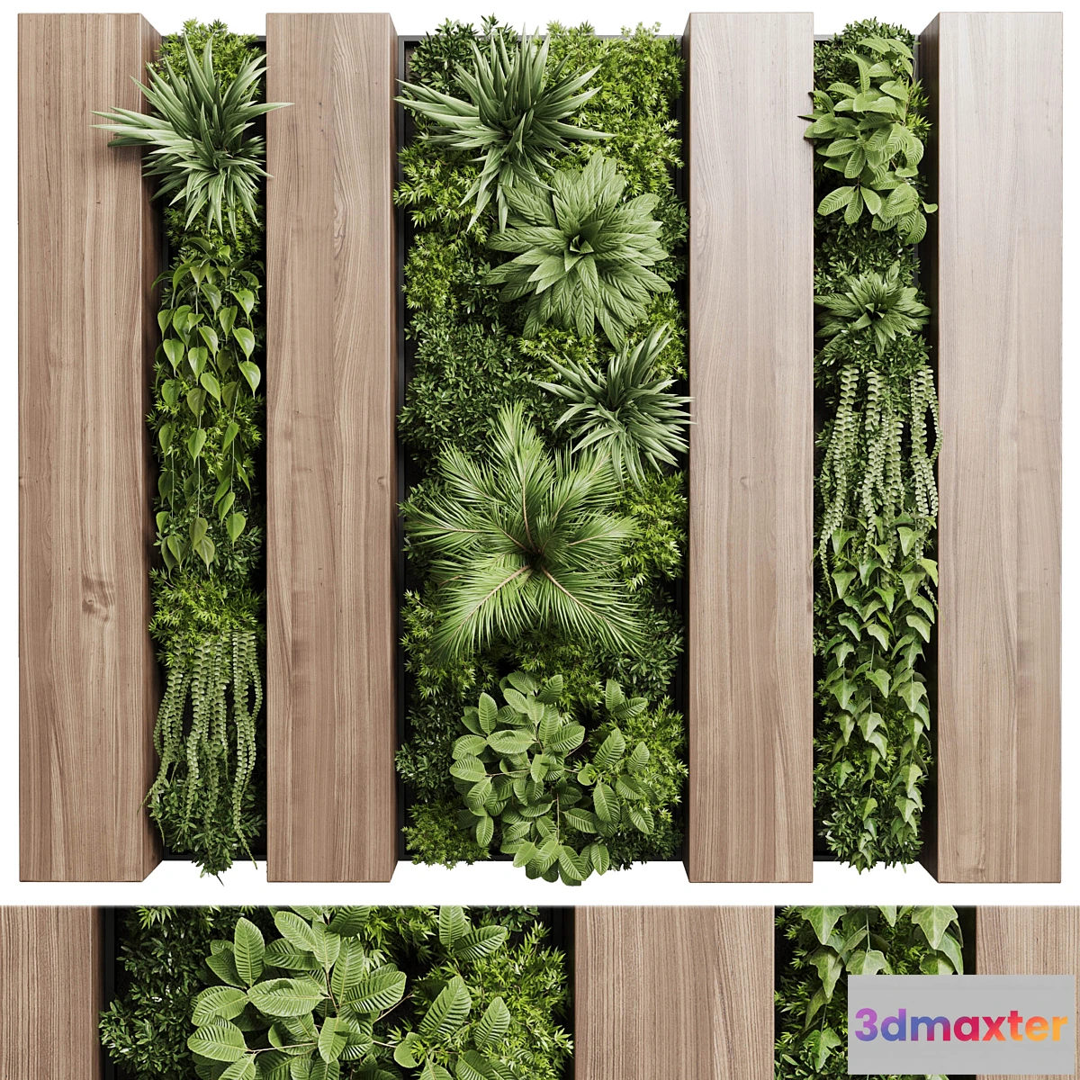 618725 - Vertical graden wall decor box - plants set partition 36