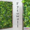 636527 - Fytowall Spatifilum
