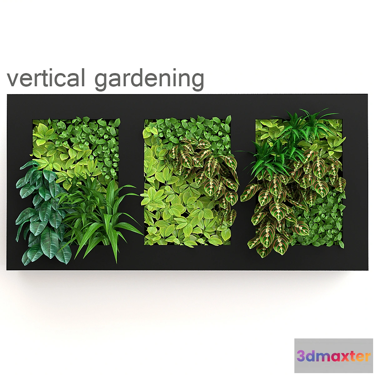 642921 - Vertical gardening - No.2