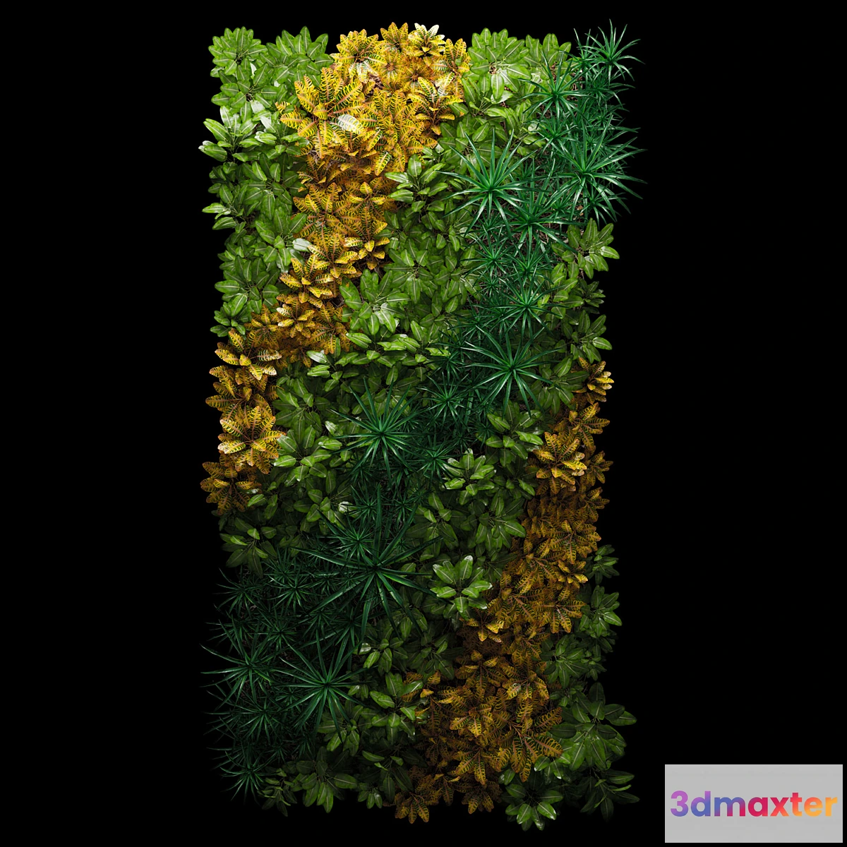 642923 - Fitostena - No.7