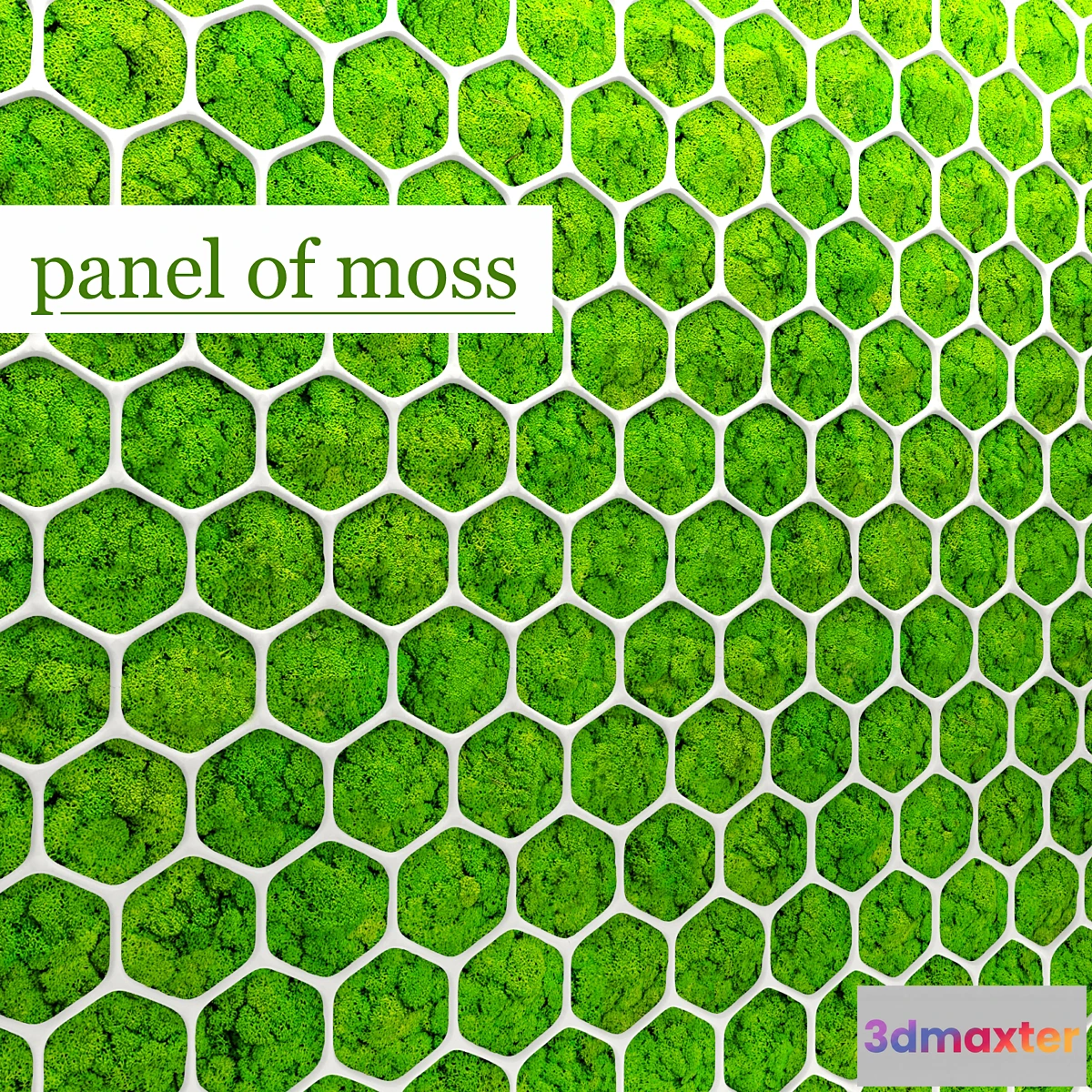 646009 - Stabilized moss Panel green wall landscaping phytowall phytomodule