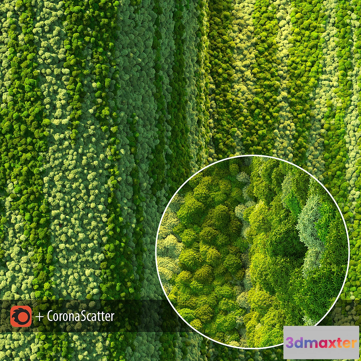 654645 - Wall from moss