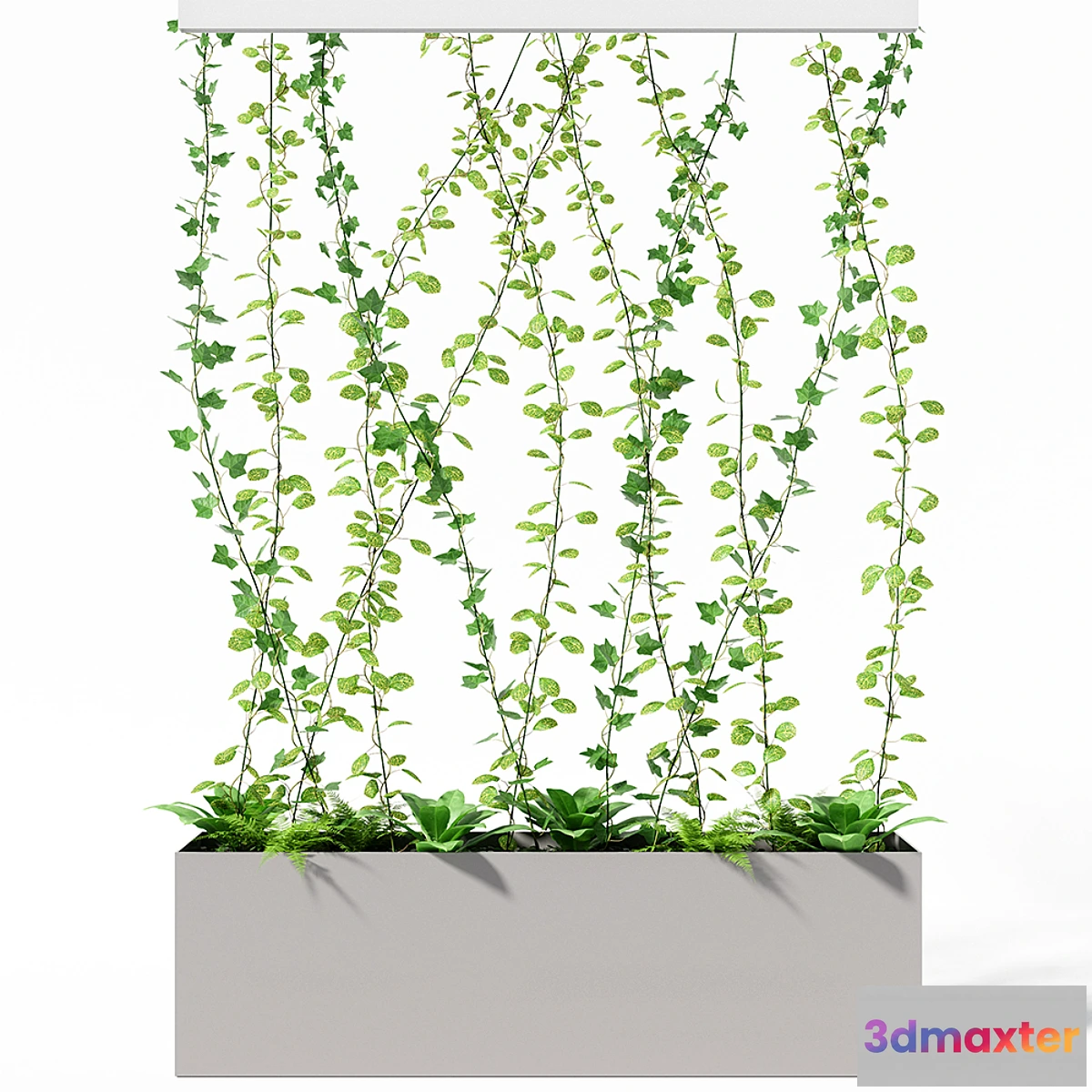 662631 - partition plant