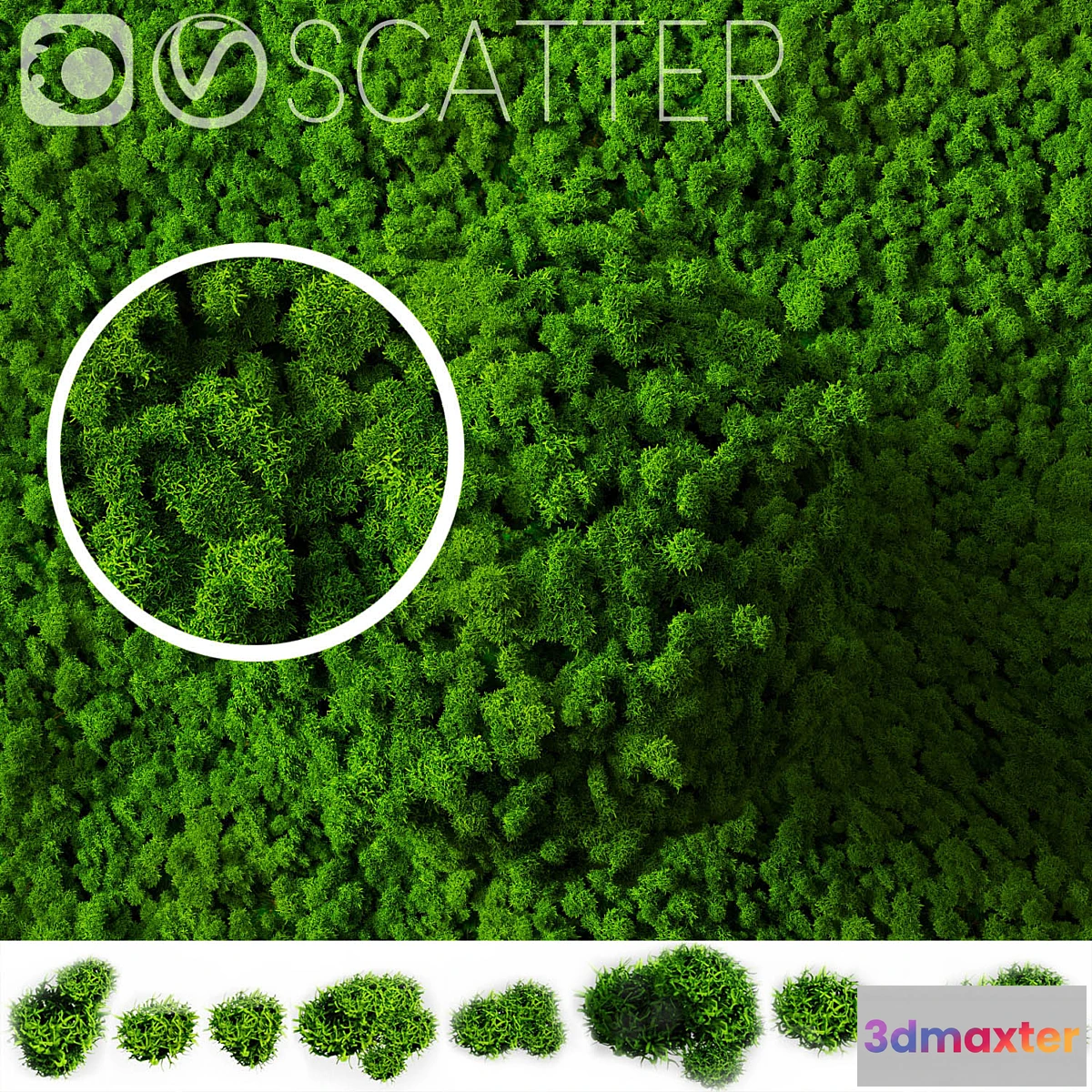 663695 - stabilized moss for scatter
