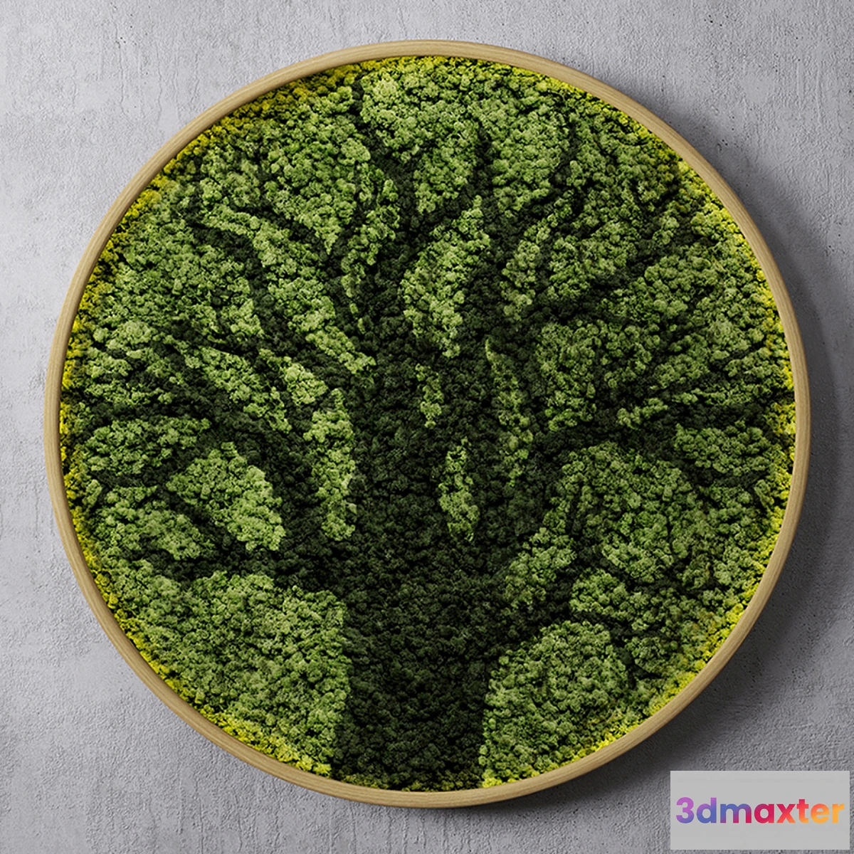 667273 - Moss wall tree