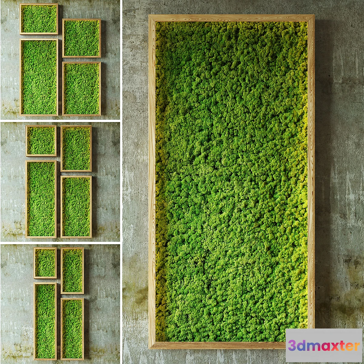 667369 - Moss walls - No.2