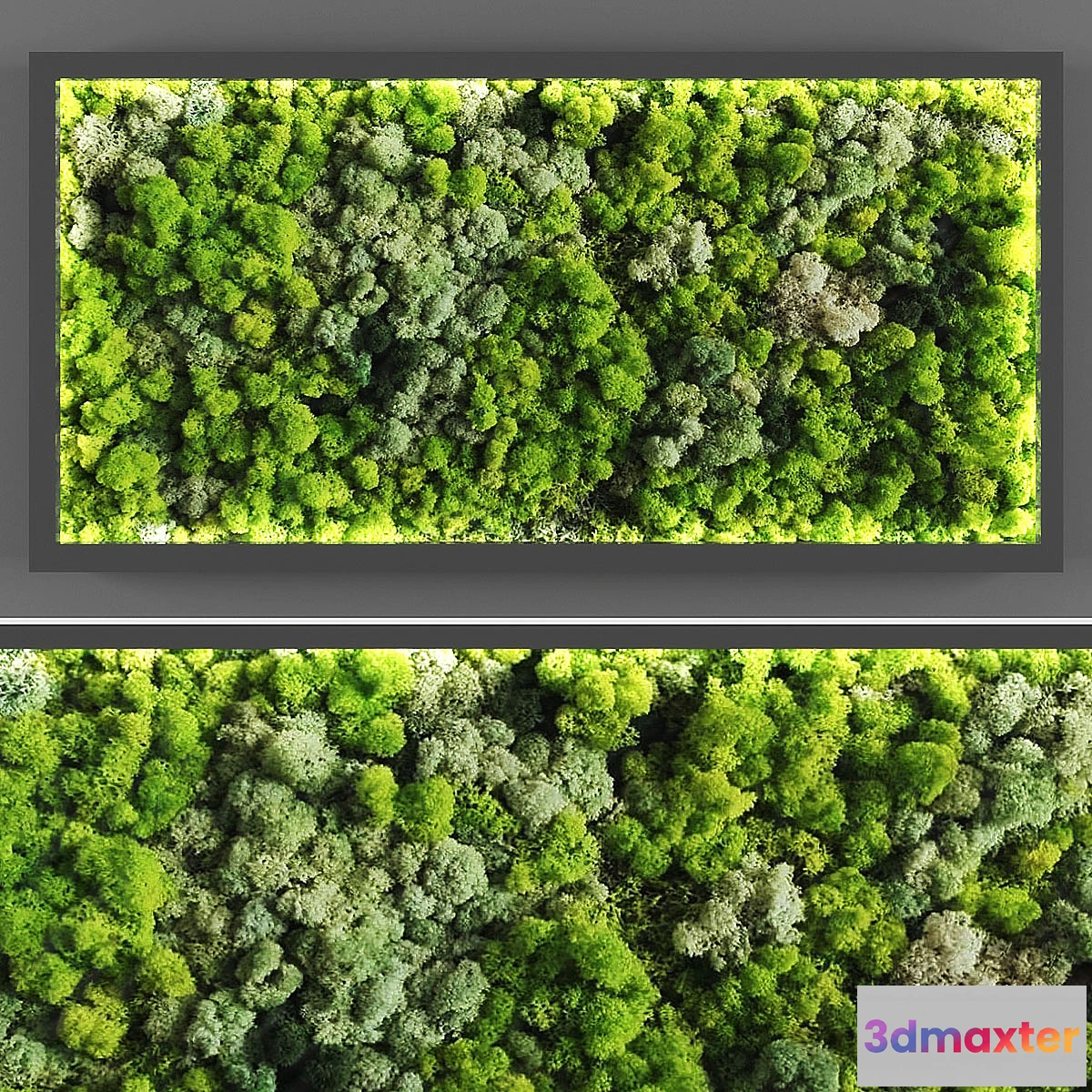 688576 - Vertical garden 059