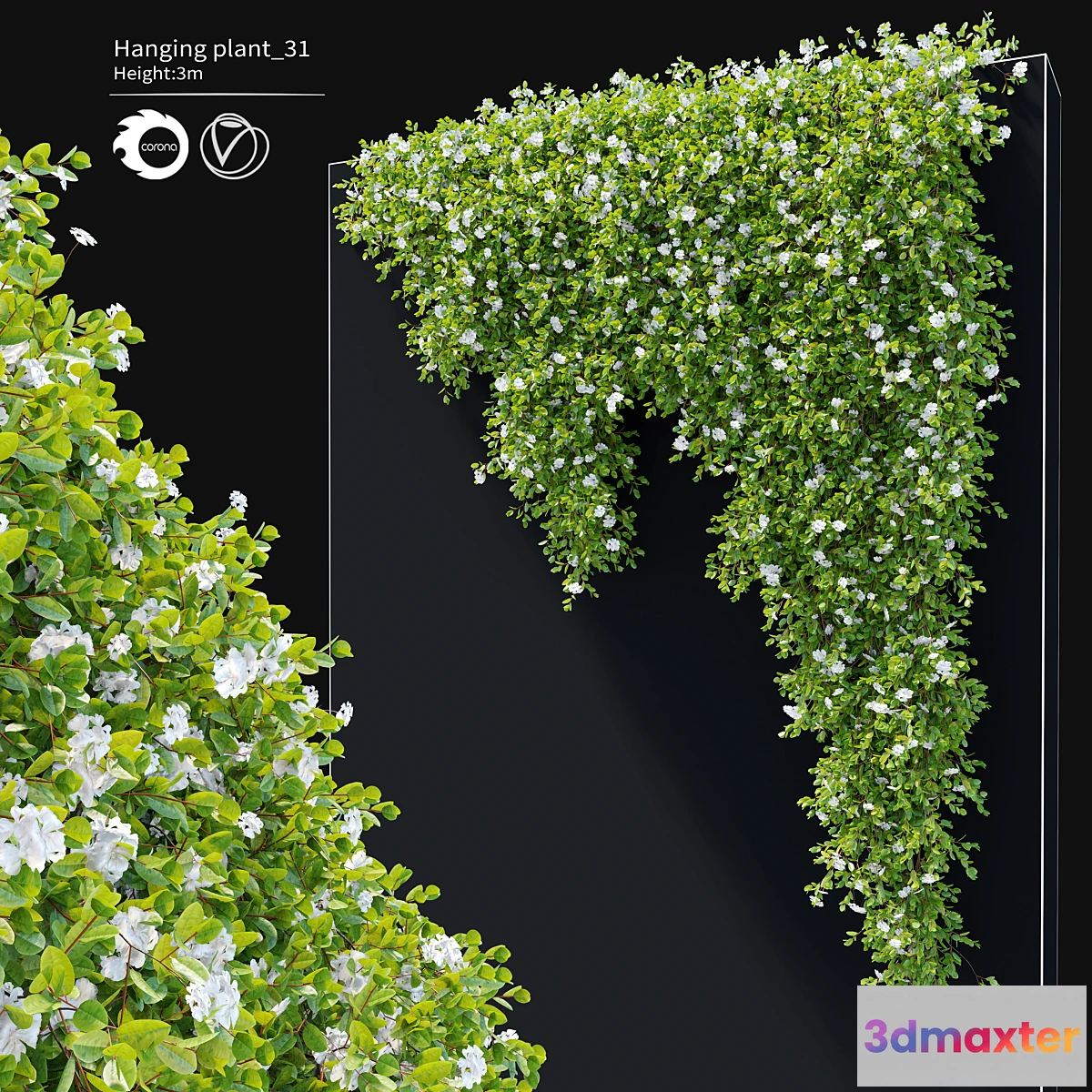 688578 - Hanging Plant 31