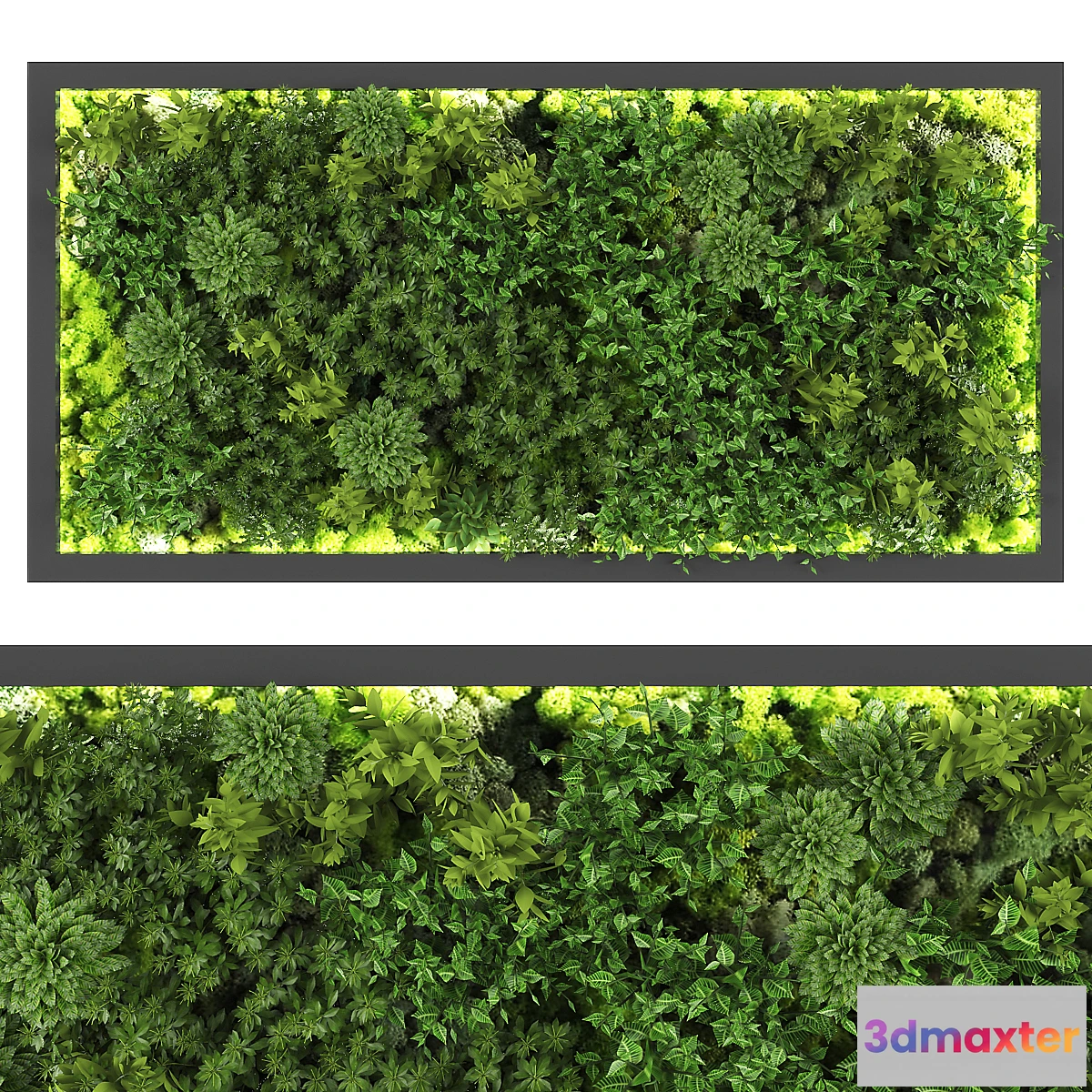 688582 - vertical garden169