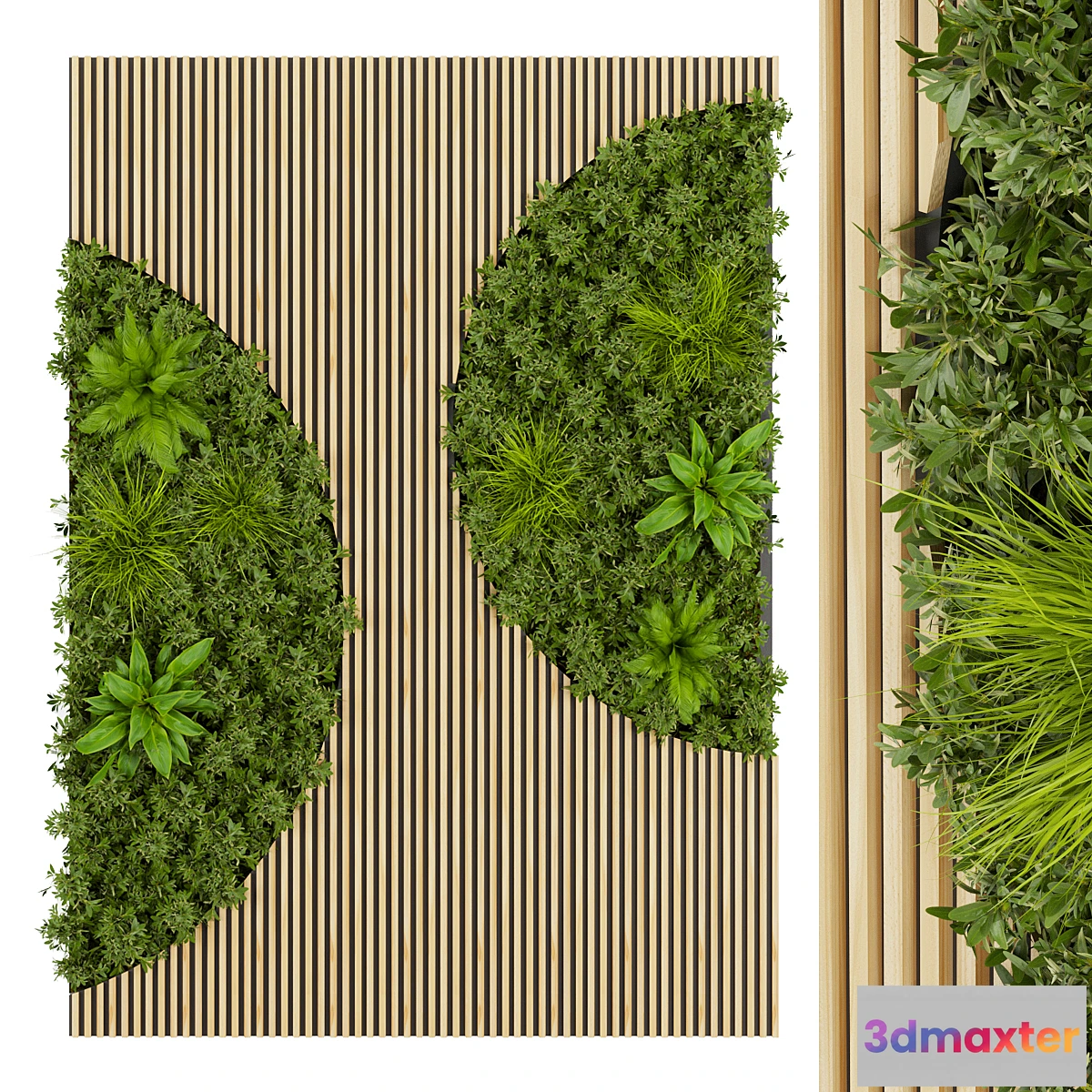 688586 - Collection plant vol 331 - fitowall - leaf