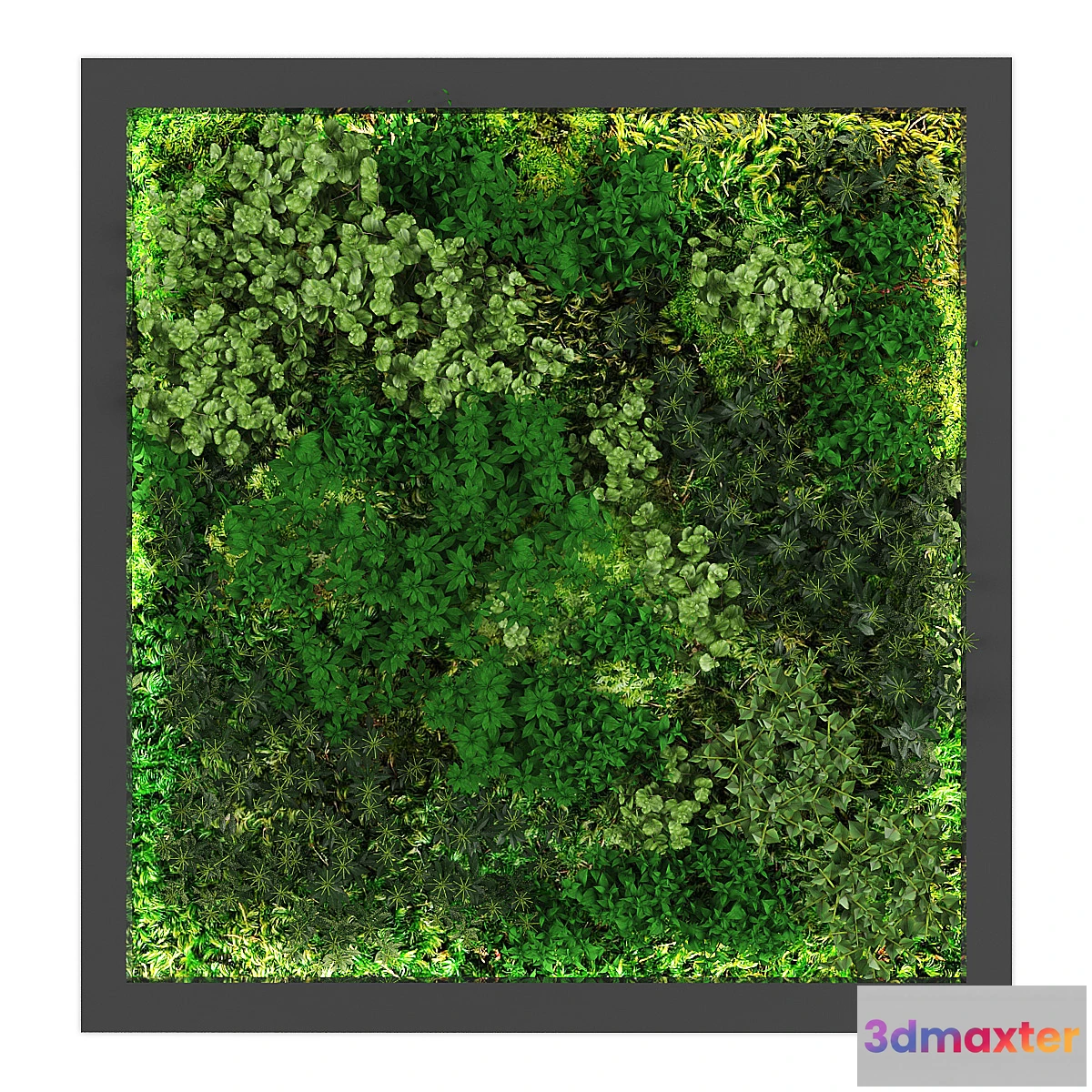 688610 - vertical garden178