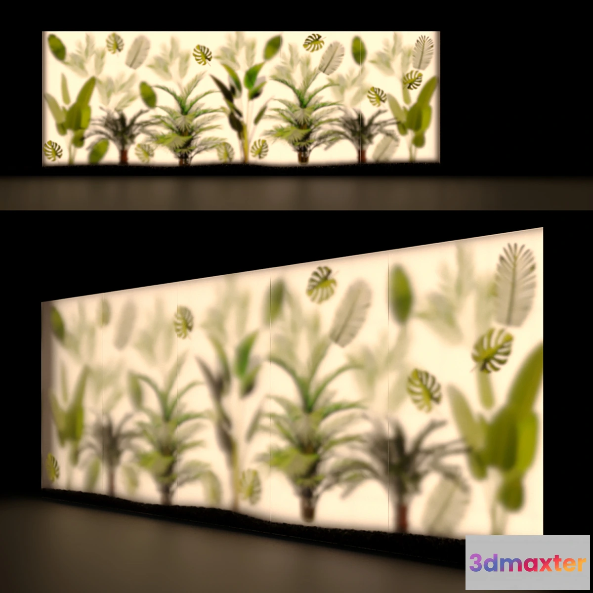 688626 - Phyto Display Case