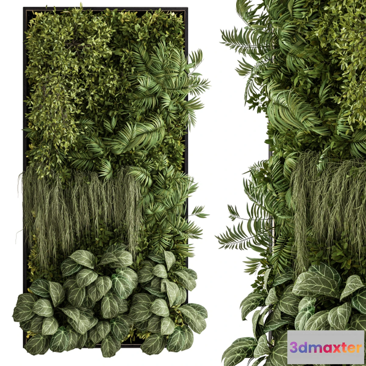 688632 - Vertical Garden Metal Frame - Wall Decor 34