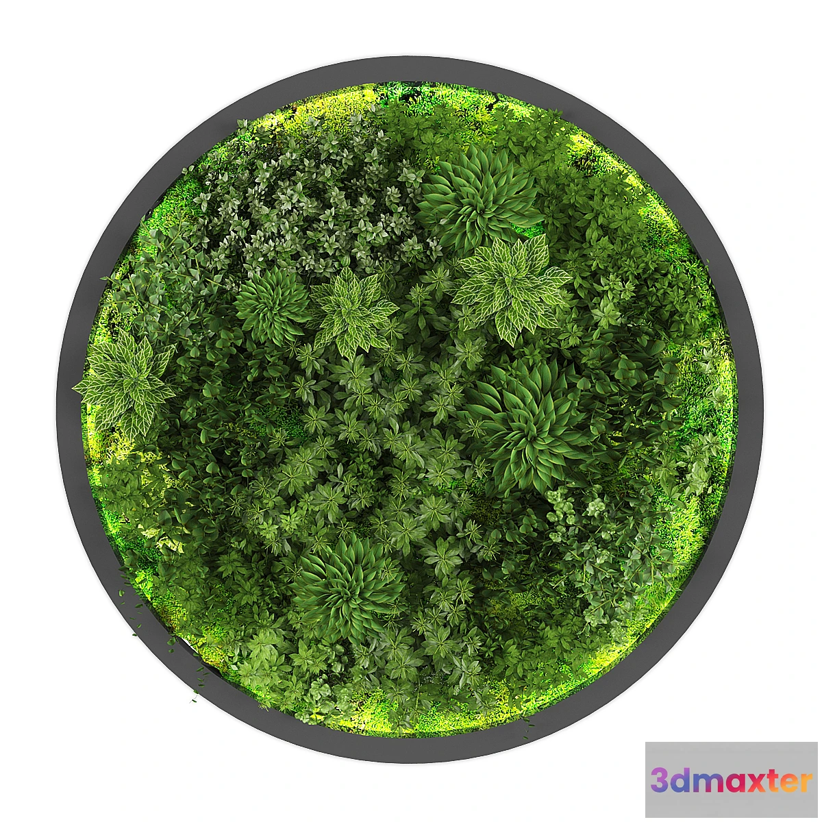 688634 - vertical garden188