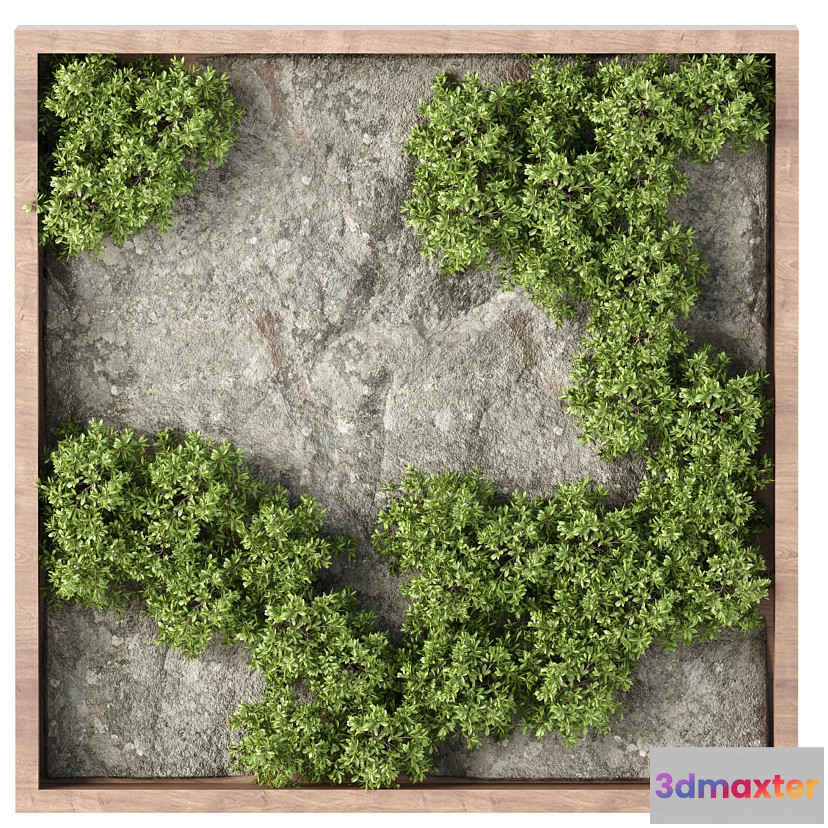 688650 - Vertical Rock Garden vol 133