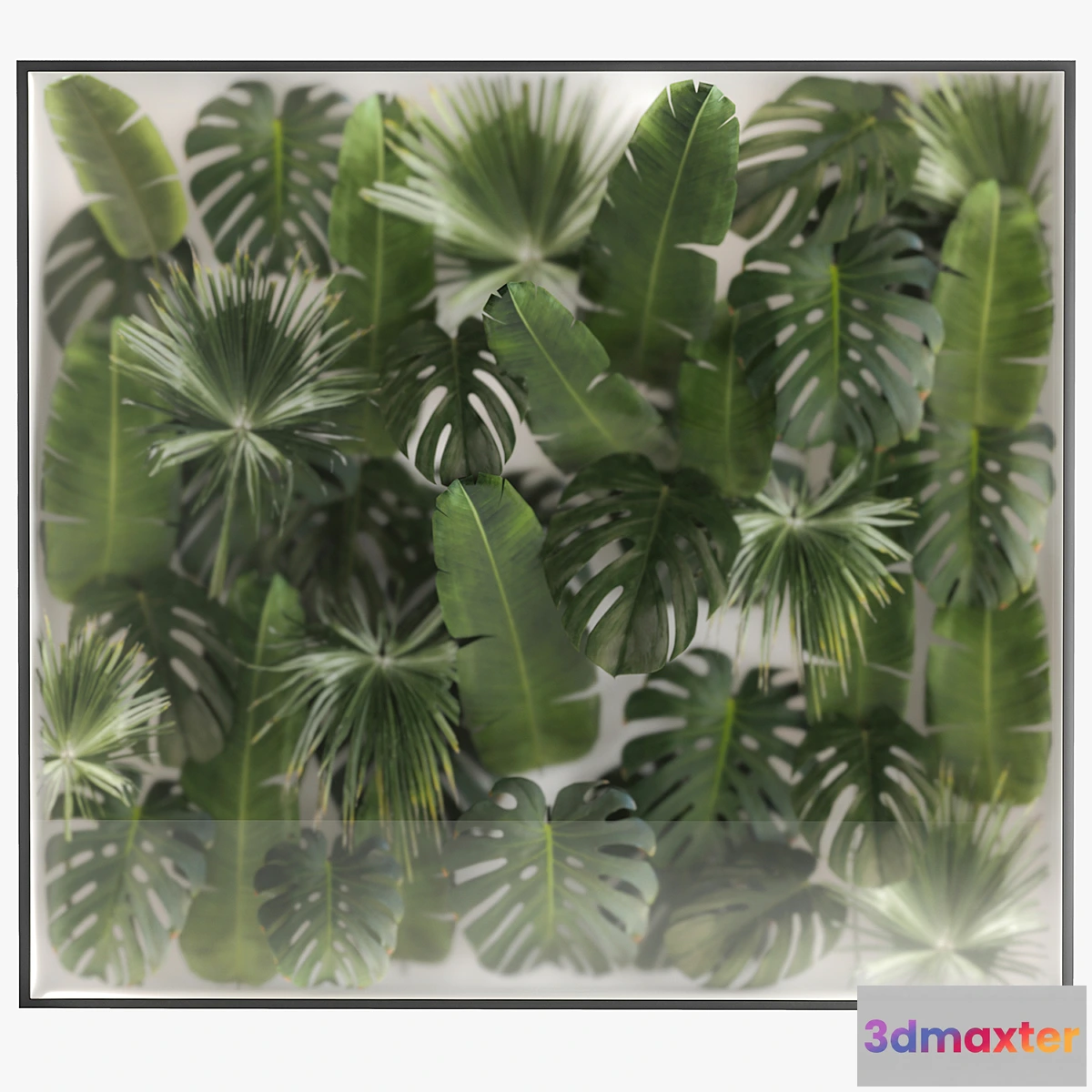 688654 - Phytowall and phytobox made of banana palm branches and fan palm leaves in a niche behind a translucent stack. Bouquet 287. - No.2