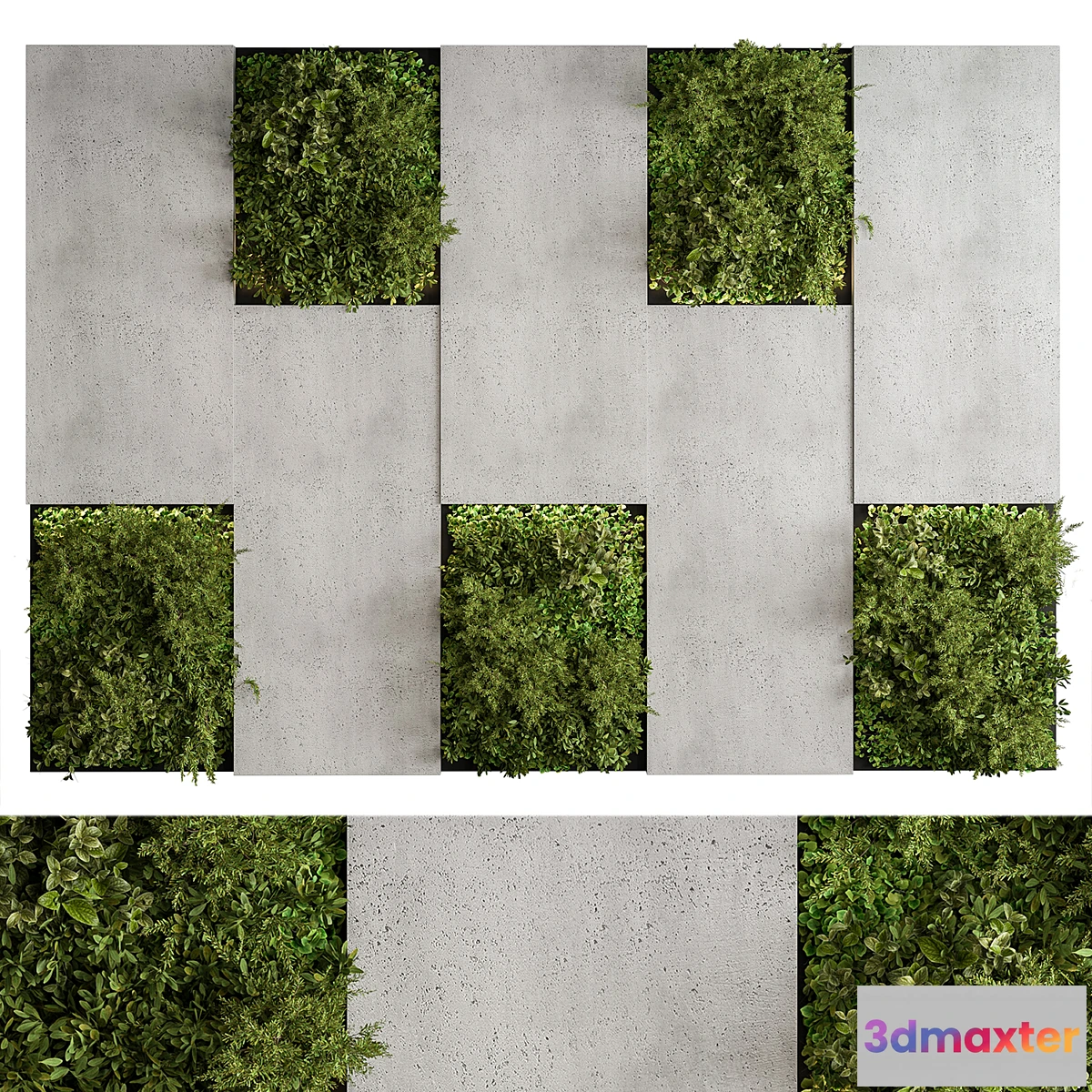 688656 - Vertical Garden - Green Wall 77