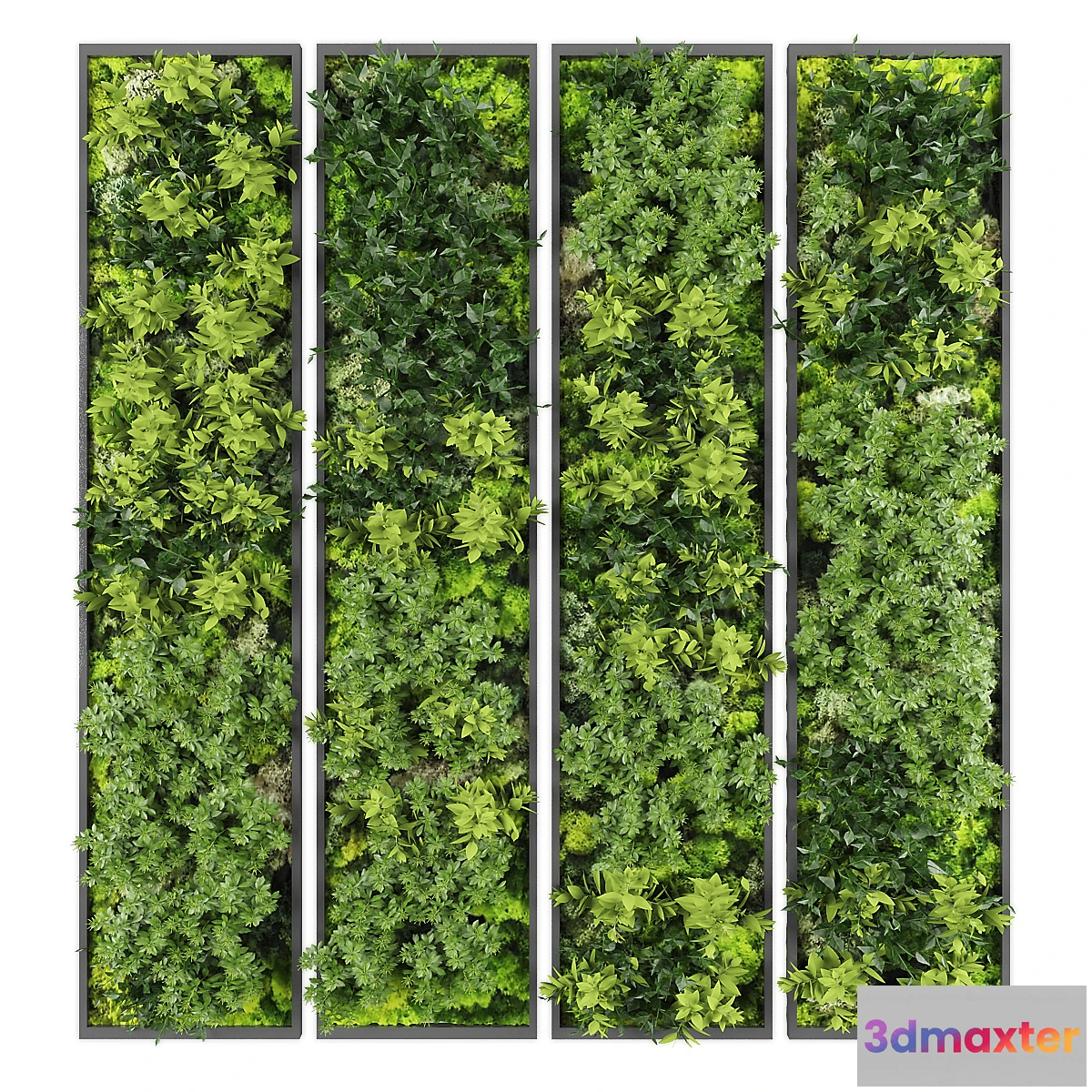 688658 - Vertical garden163