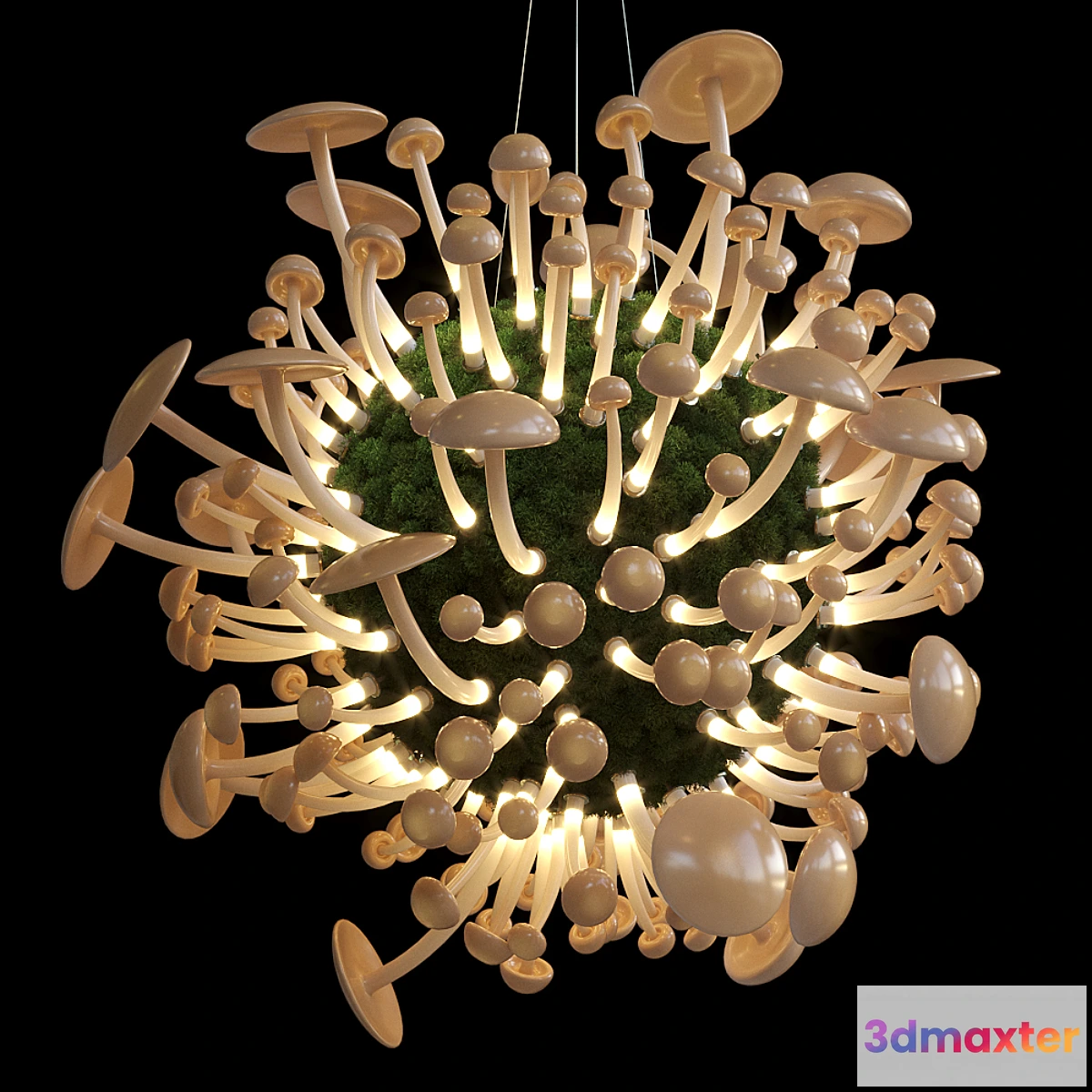 748723 - Mushrooms - Vargov Design