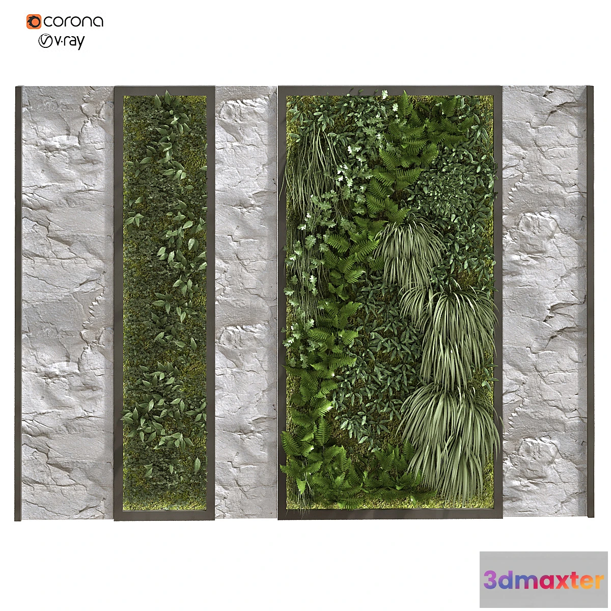 748725 - vertical plant 156 - No.2