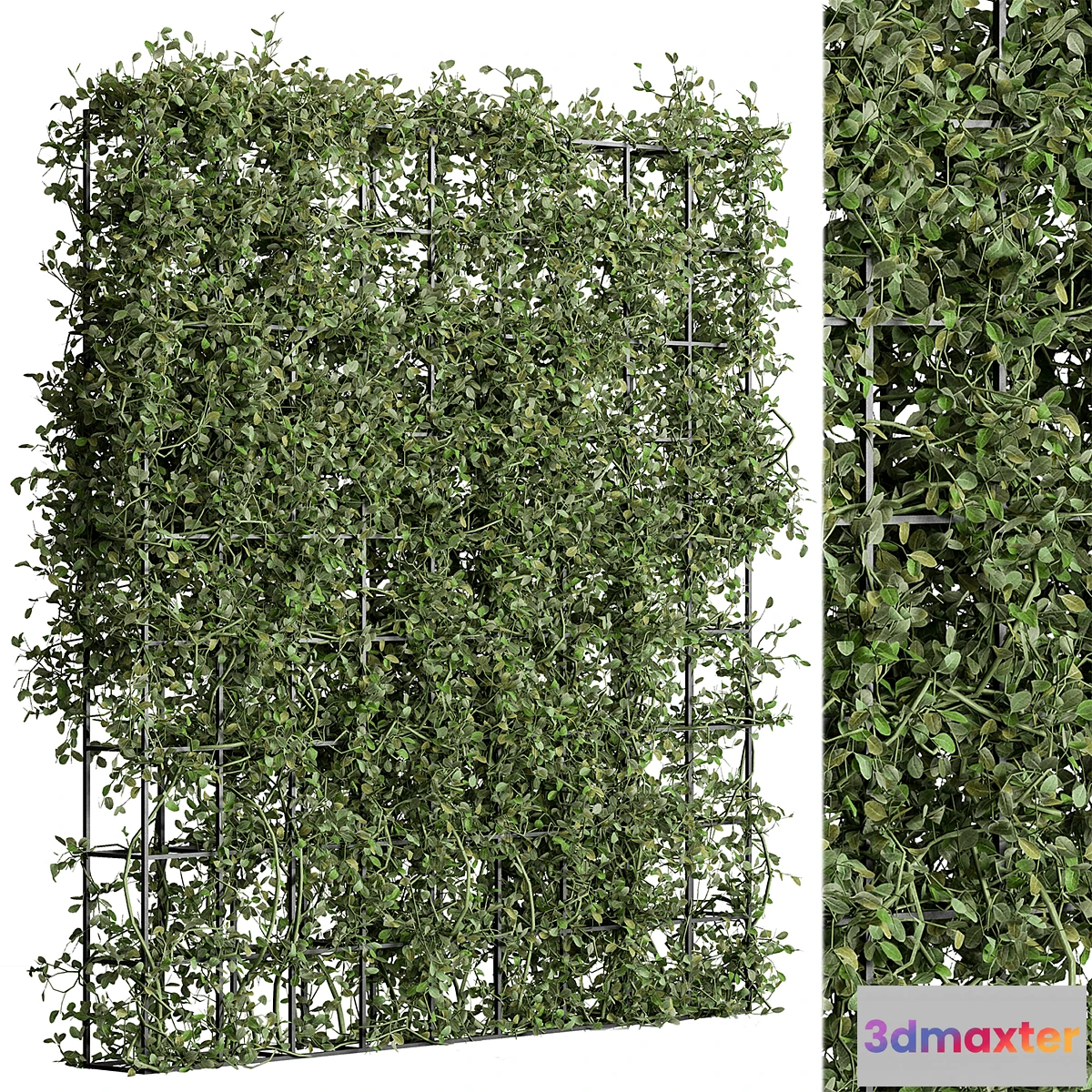 748737 - Vertical Garden Partiton - Set 81