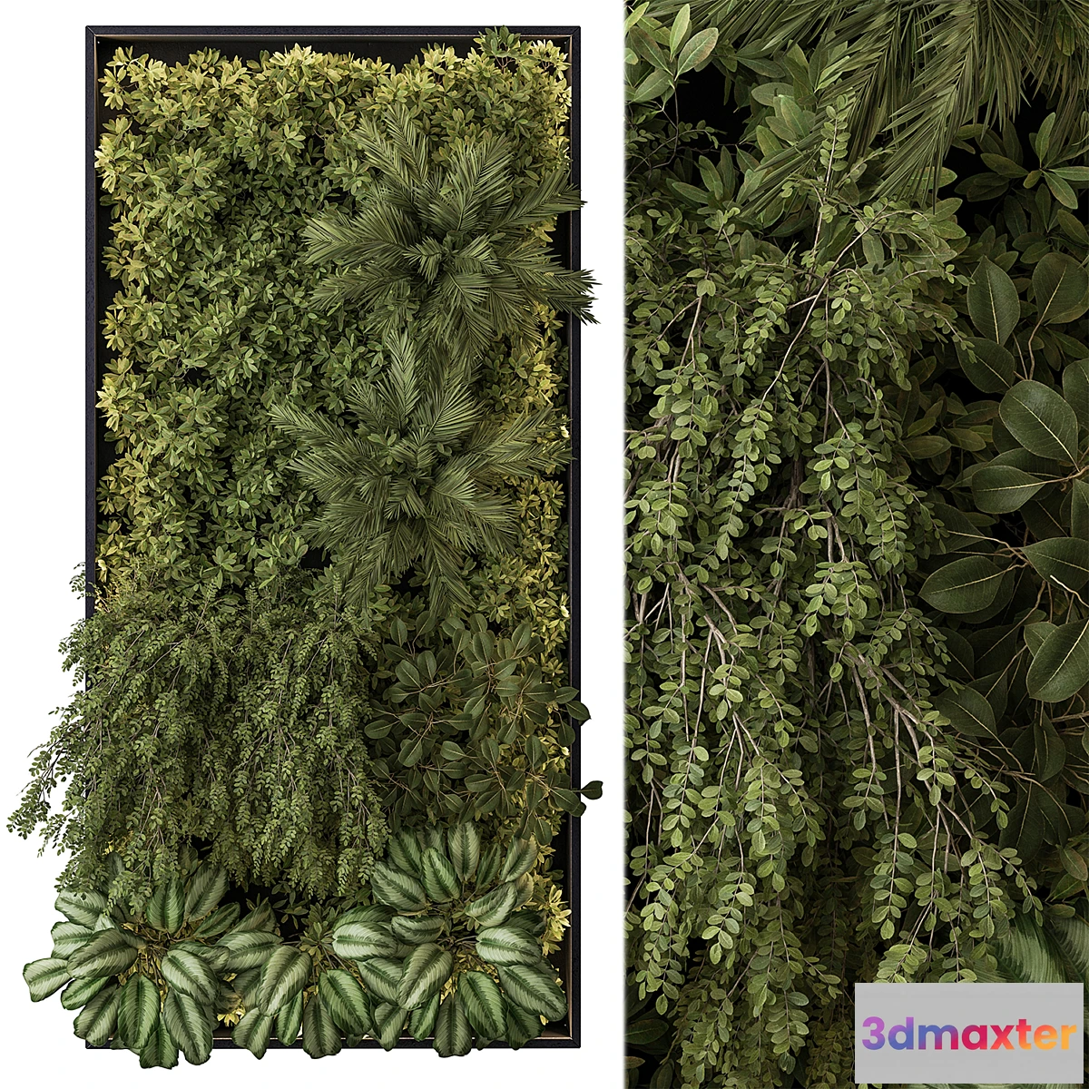 748771 - Vertical Garden - Wall Decor 59 - No.2