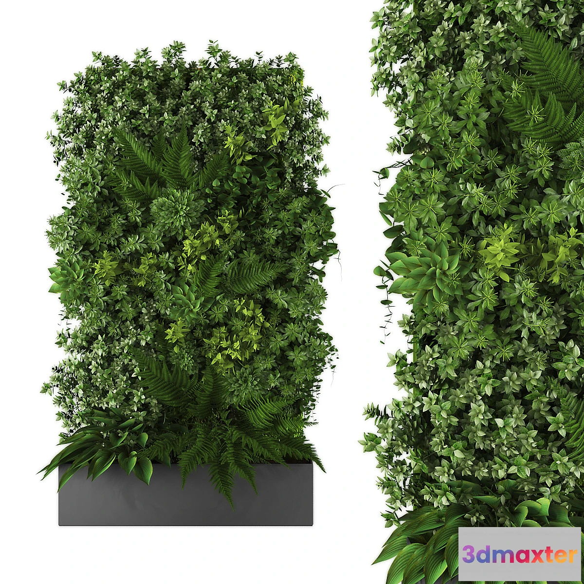 748785 - vertical garden167 - No.2