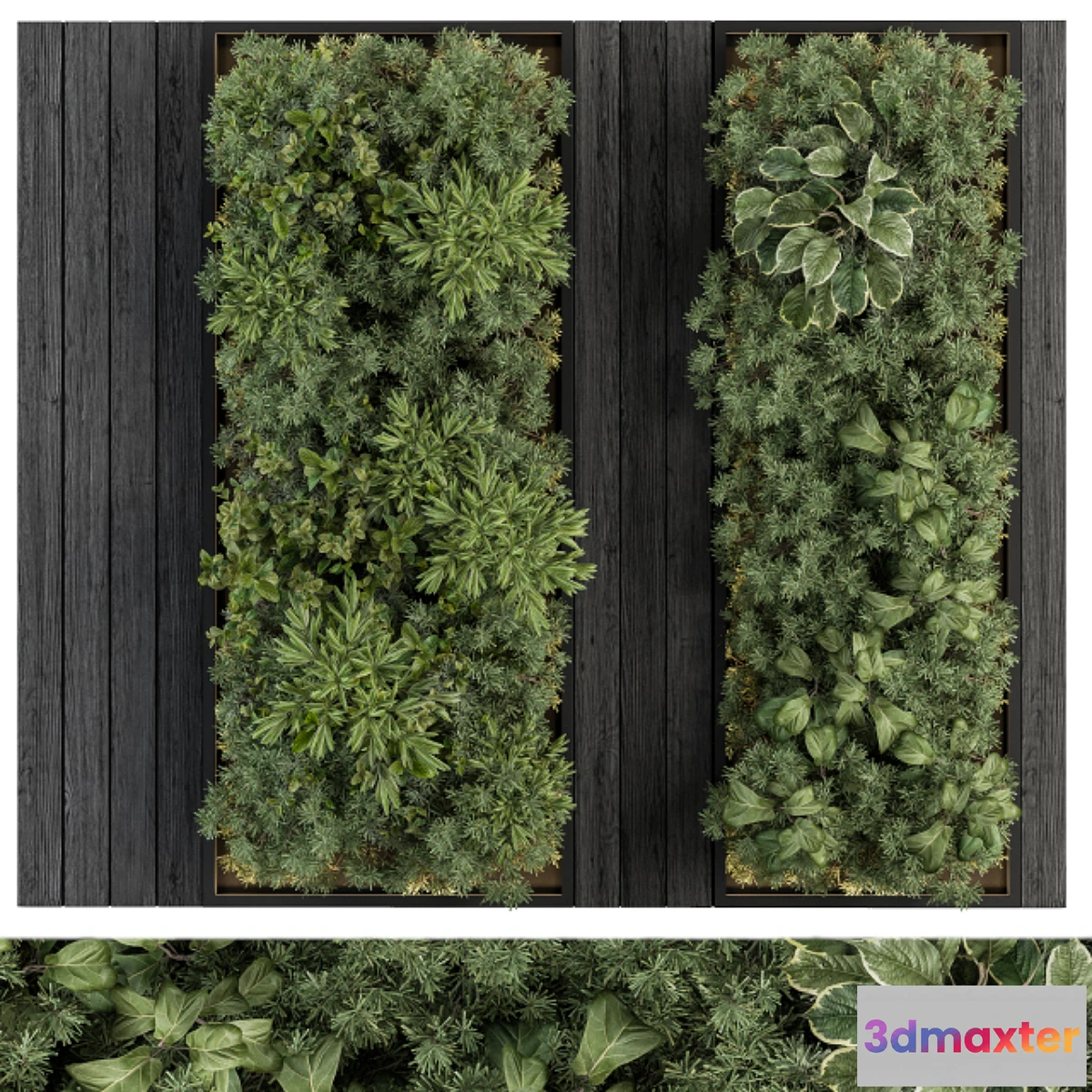 748801 - Vertical Garden Black Frame - Wall Decor 38