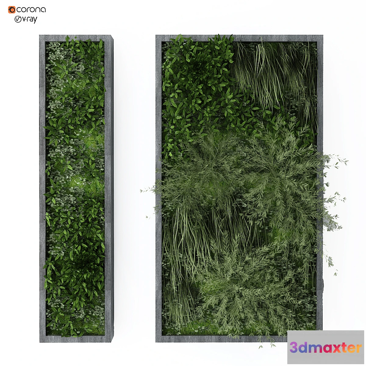 748803 - vertical plant 162