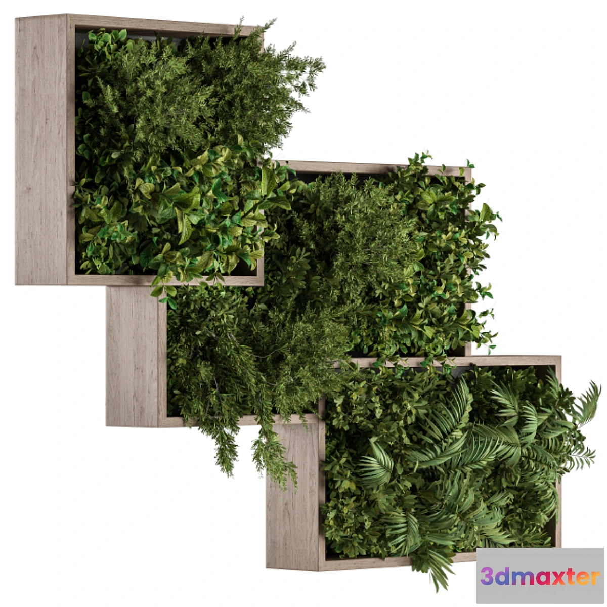 748813 - Vertical Garden Wood Frame - Wall Decor 31
