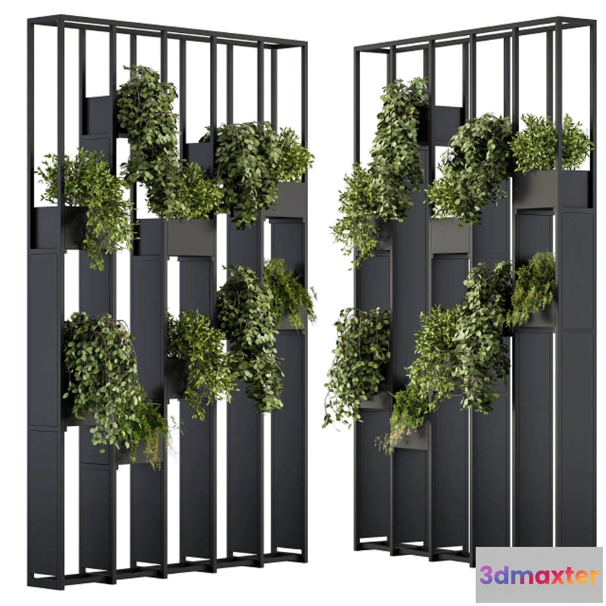 748989 - Green Wall - Plants partition 02 - No.2