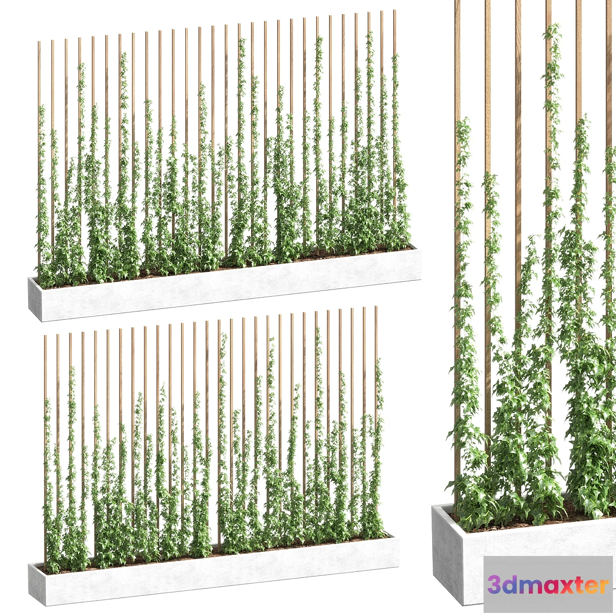 777403 - Ivy partition